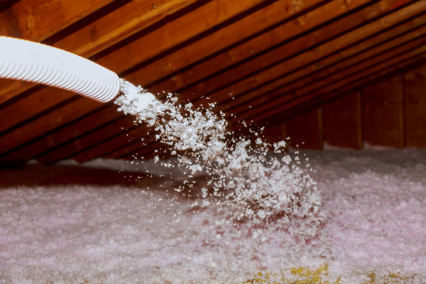 Best Insulation Maintenance and Repair in Pinckneyvle, IL