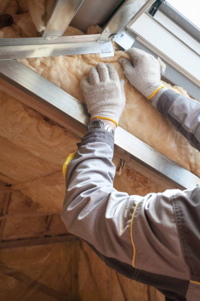 Best Insulation for Specific Applications in Pinckneyvle, IL